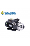 台灣大井"WALRUS"華樂士TQ400B 1/2HP/ TQ800B 1HP家用全自動增壓泵空氣能加壓泵